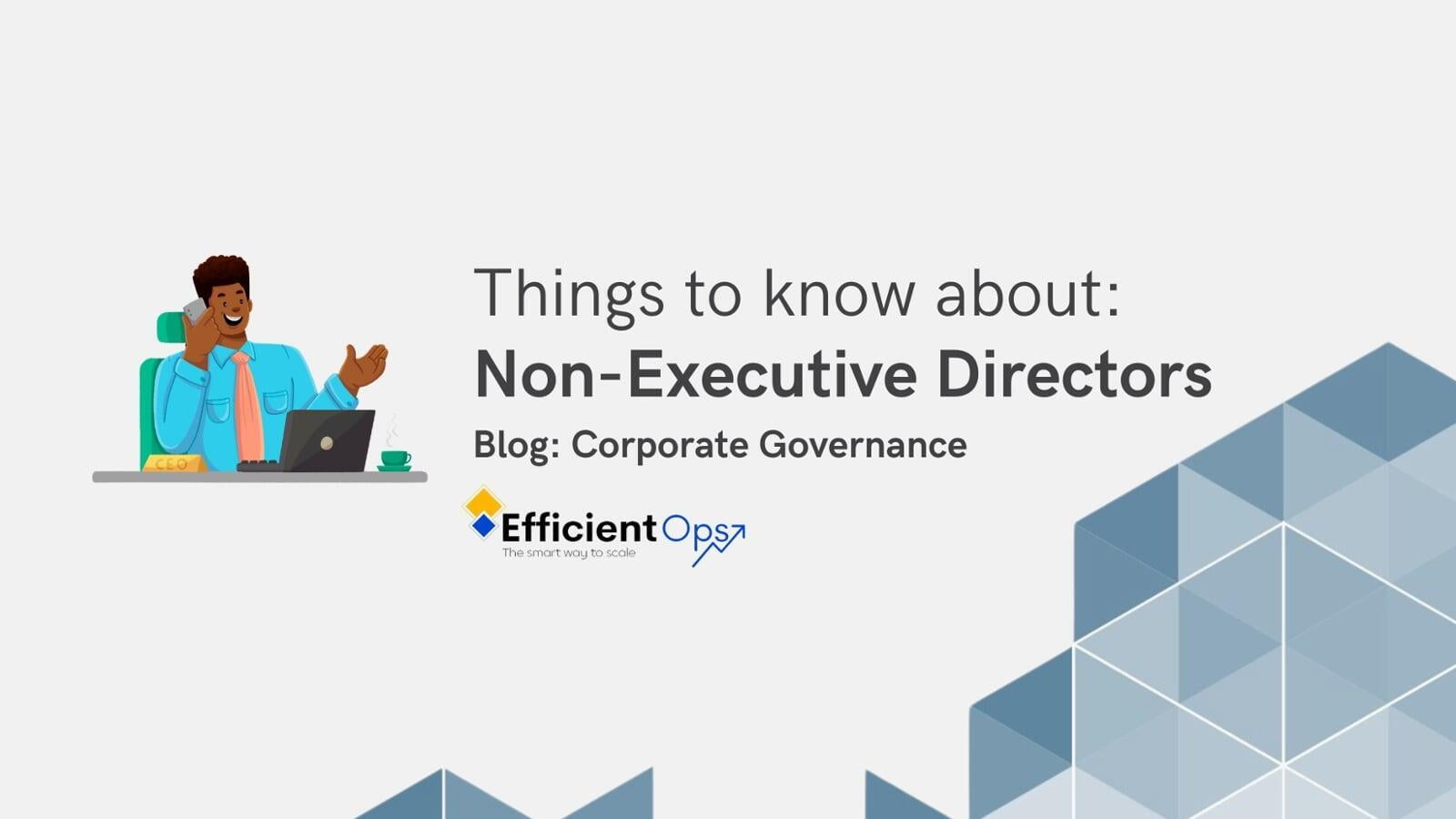 NonExecutive Directors Efficient Ops